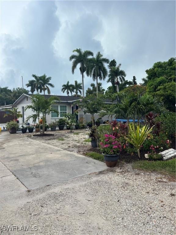 152 Prospect Ave, Fort Myers, FL 33905 - view of property hidden behind natural elements