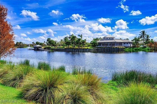 6374 Negril Isle Dr, Naples, FL 34113 - photo 33