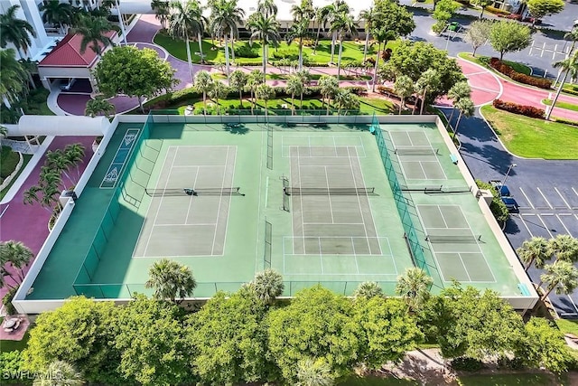 100 N Collier Blvd Unit 303, Marco Island, FL 34145 - aerial view