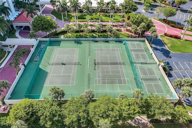 100 N Collier Blvd Unit 303, Marco Island, FL 34145 - photo 35
