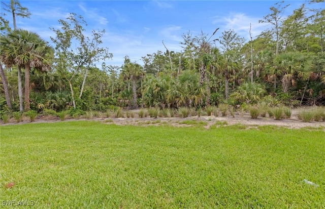 1836 Verada Ct, Naples, FL 34120 - photo 42