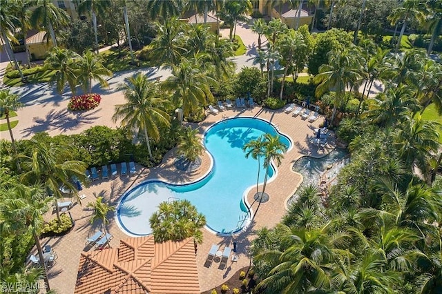 2855 Tiburon Blvd E Unit 102, Naples, FL 34109 - view of community pool