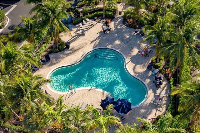 9051 Capistrano St N Unit 4302, Naples, FL 34113 - view of community pool