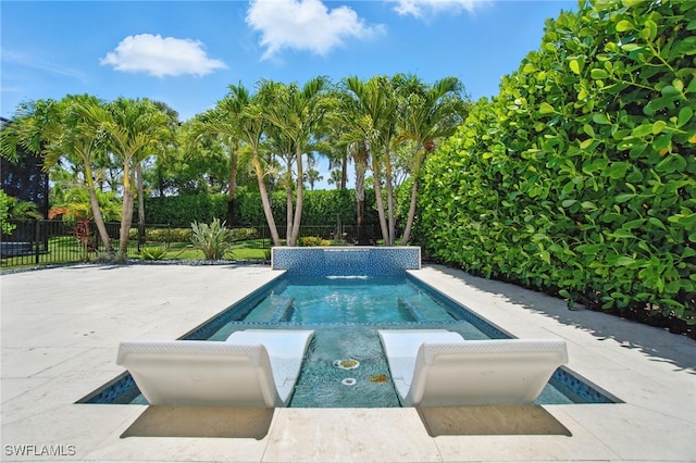 4119 Zelkova Ct, Naples, FL 34119 - view of swimming pool with a hot tub