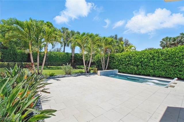 4119 Zelkova Ct, Naples, FL 34119 - view of swimming pool featuring a patio
