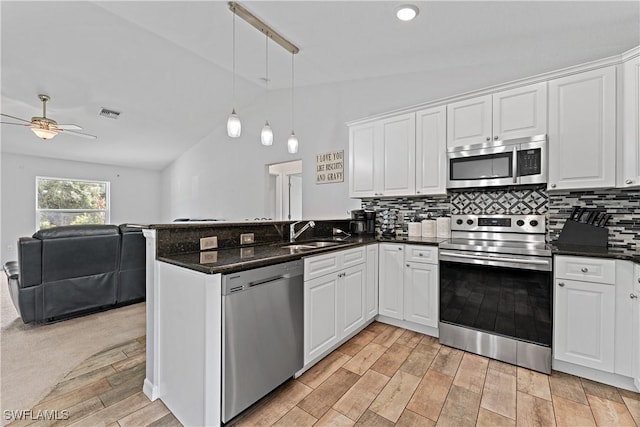1429 Jabara Cir, Labelle, FL 33935 - kitchen with appliances with stainless steel finishes, vaulted ceiling, open floor plan, a peninsula, and a ceiling fan