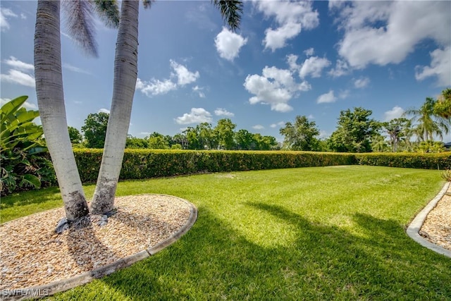 4180 Prestwick Ct, North Fort Myers, FL 33903 - view of grassy yard