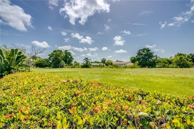 4180 Prestwick Ct, North Fort Myers, FL 33903 - view of green lawn featuring a rural view