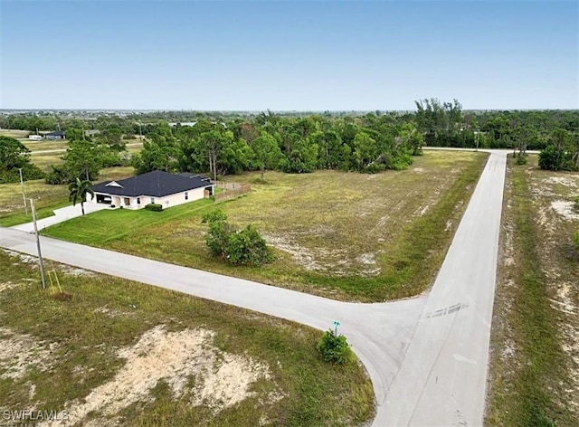 3403 NW 41st Pl, Cape Coral, FL 33993 - photo 4