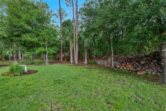 4345 6th Ave NE, Naples, FL 34120 - view of green lawn