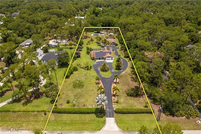 6011 Sea Grass Ln, Naples, FL 34116 - view of property location with property boundaries highlighted and a heavily wooded area