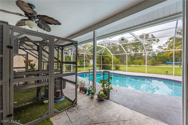 6011 Sea Grass Ln, Naples, FL 34116 - swimming pool featuring a patio area, a ceiling fan, glass enclosure, and a lawn