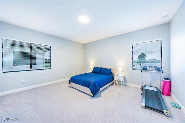 4955 Brigata Way, Ave Maria, FL 34142 - bedroom featuring light carpet and multiple windows