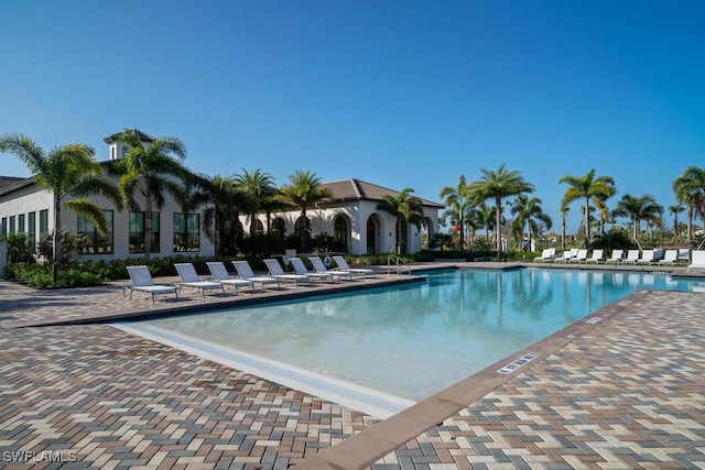 4955 Brigata Way, Ave Maria, FL 34142 - community pool featuring a patio area