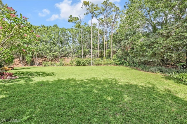 4000 Stonesthrow Ct, Naples, FL 34109 - view of grassy yard