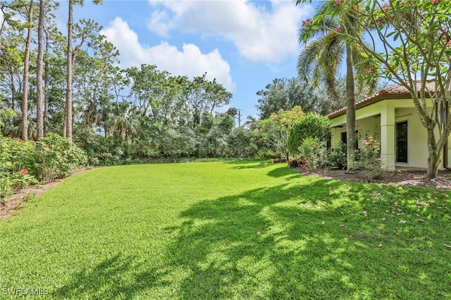 4000 Stonesthrow Ct, Naples, FL 34109 - view of grassy yard