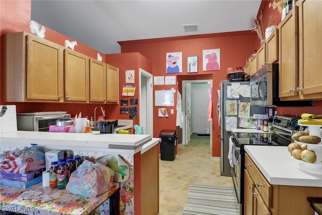 3211 NE 14th Pl, Cape Coral, FL 33909 - kitchen with stainless steel appliances, light countertops, a peninsula, and crown molding