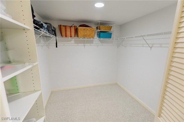 3052 Kings Lake Blvd Unit 7554, Naples, FL 34112 - walk in closet featuring carpet floors
