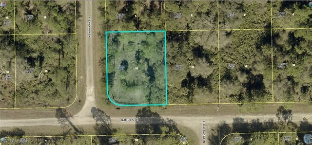 1231 Ramus St E, Lehigh Acres, FL 33974