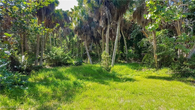 4626 Buck Key Rd, Sanibel, FL 33957 - photo 2