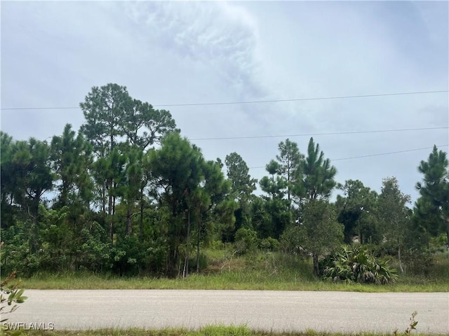 647 Trinity St E, Lehigh Acres, FL 33974 - photo 1