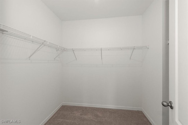 8959 Cascade Price Cir, North Fort Myers, FL 33917 - walk in closet featuring carpet flooring