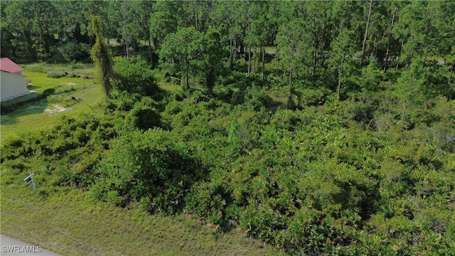 1115 Chiefland St E, Lehigh Acres, FL 33974 - photo 4