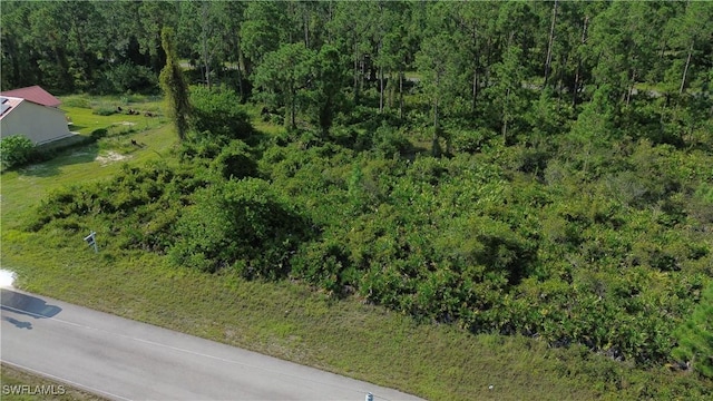 1115 Chiefland St E, Lehigh Acres, FL 33974 - photo 2