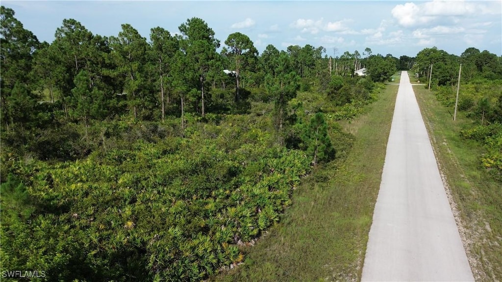1115 Chiefland St E, Lehigh Acres, FL 33974 - photo 3