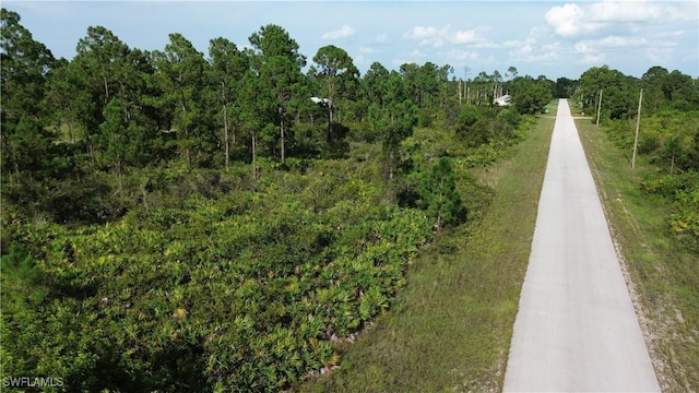 1115 Chiefland St E, Lehigh Acres, FL 33974 - photo 3