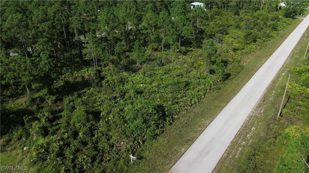 1115 Chiefland St E, Lehigh Acres, FL 33974 - photo 1