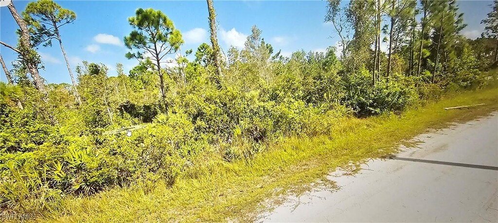 12147 Platano Dr, Punta Gorda, FL 33955 - photo 3