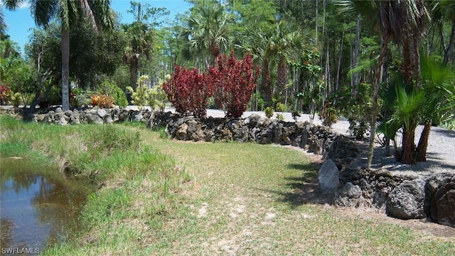 316 Morgan Rd, Naples, FL 34114 - photo 49