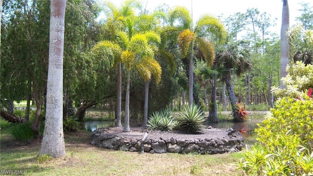 316 Morgan Rd, Naples, FL 34114 - photo 47