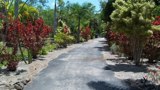 316 Morgan Rd, Naples, FL 34114 - photo 44