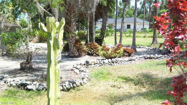 316 Morgan Rd, Naples, FL 34114 - photo 46