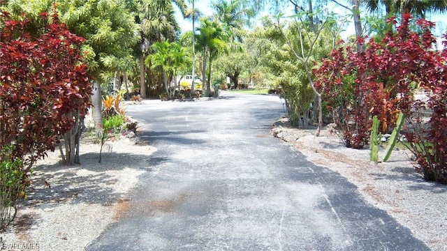 316 Morgan Rd, Naples, FL 34114 - photo 48