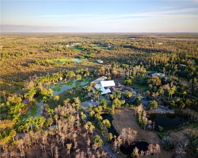 316 Morgan Rd, Naples, FL 34114 - photo 5