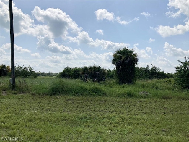 3049 E Briarwood Cir, Labelle, FL 33935 - photo 4