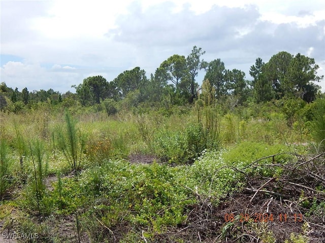 958 Commodore St, Lehigh Acres, FL 33974 - photo 1