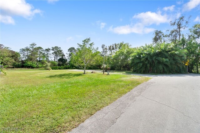 4091 Harvest Ct, Naples, FL 34112 - photo 6