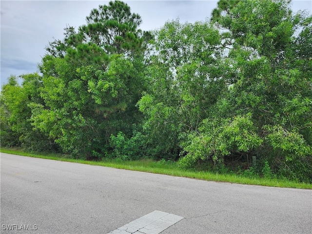 12469 Mizell Ave, Punta Gorda, FL 33955 - photo 2