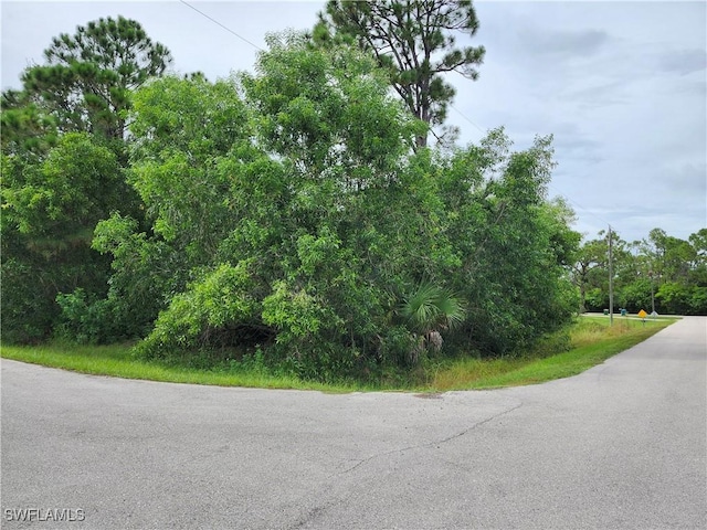 12469 Mizell Ave, Punta Gorda, FL 33955 - photo 1