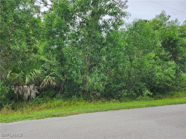 12469 Mizell Ave, Punta Gorda, FL 33955 - photo 3