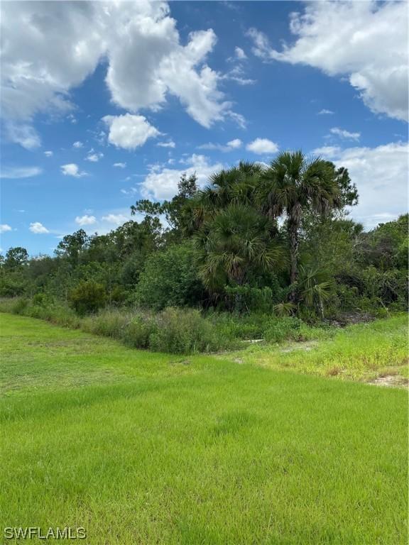 7235 Everglades Blvd N, Naples, FL 34120 - photo 3
