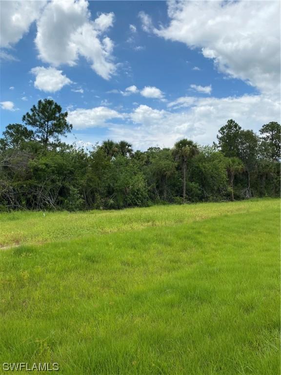 7235 Everglades Blvd N, Naples, FL 34120 - photo 4