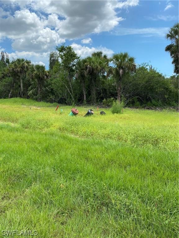 7235 Everglades Blvd N, Naples, FL 34120 - photo 1