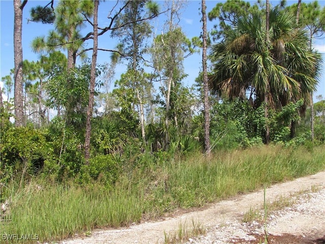 8913 Evergreen Ln, Saint James City, FL 33956 - photo 3