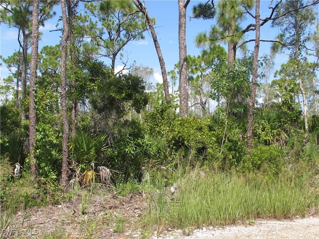 8913 Evergreen Ln, Saint James City, FL 33956 - photo 4