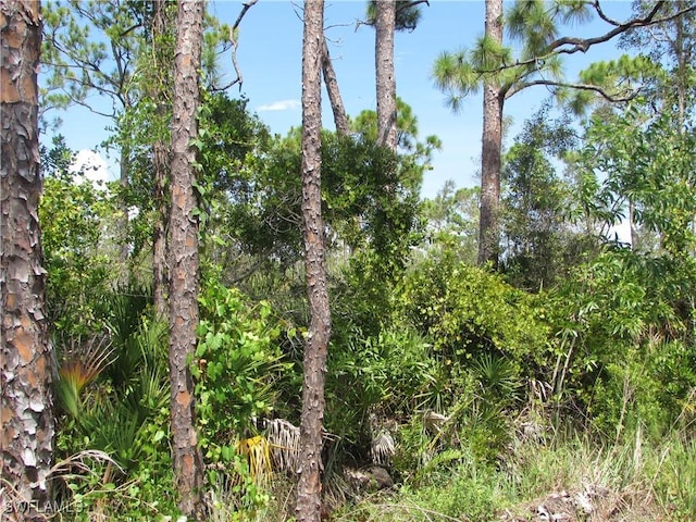 8913 Evergreen Ln, Saint James City, FL 33956 - photo 2